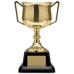 Altitude Aureus Small Trophy Unbranded